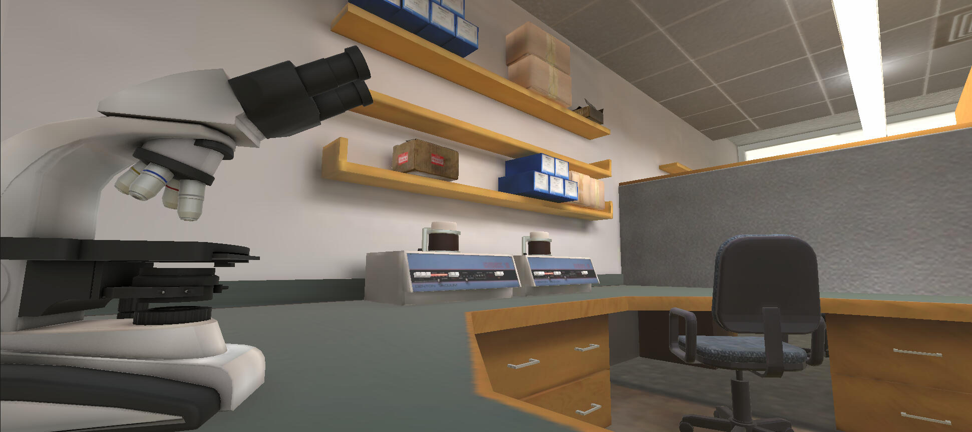 Entomology Plate | Pen & Ink, 2020