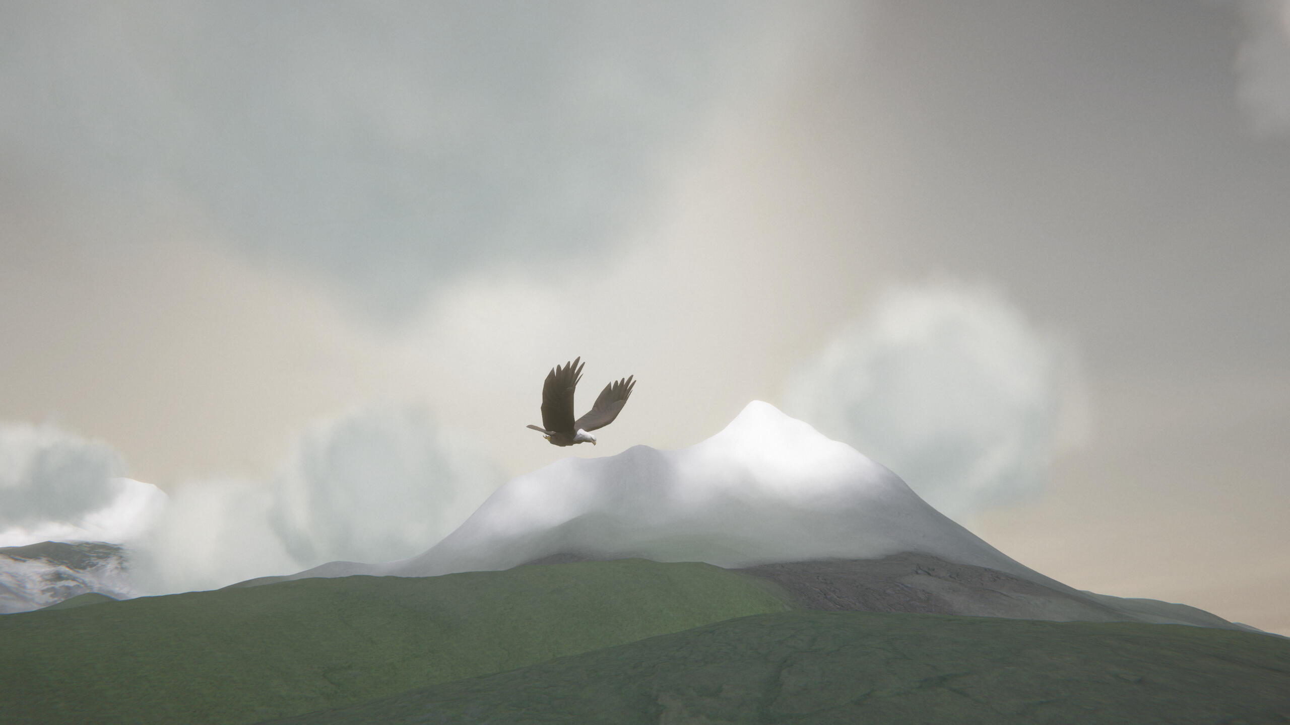 Entomology Plate | Pen &amp; Ink, 2020